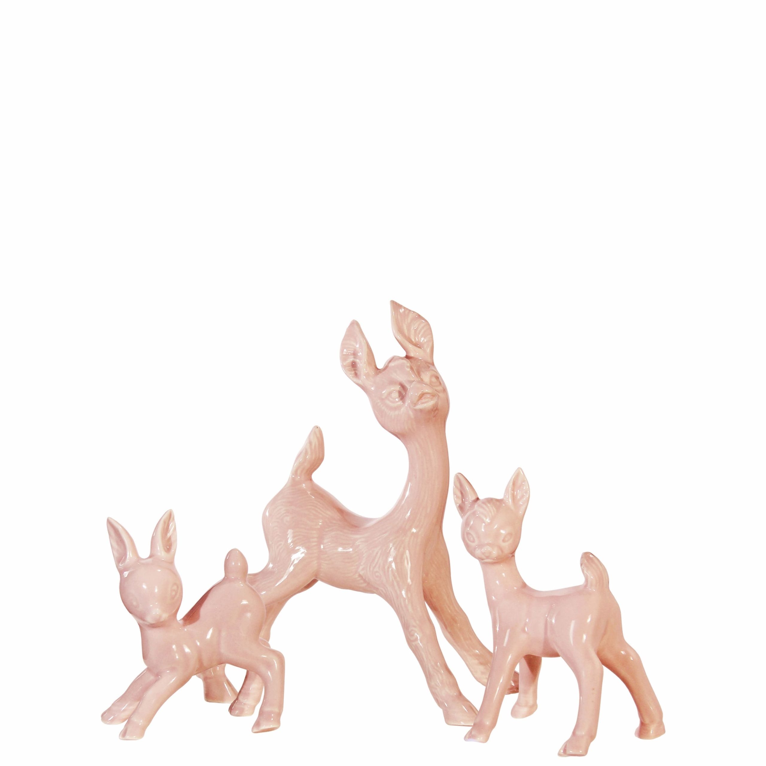 W173A- FAMÍLIA BAMBIS ROSA