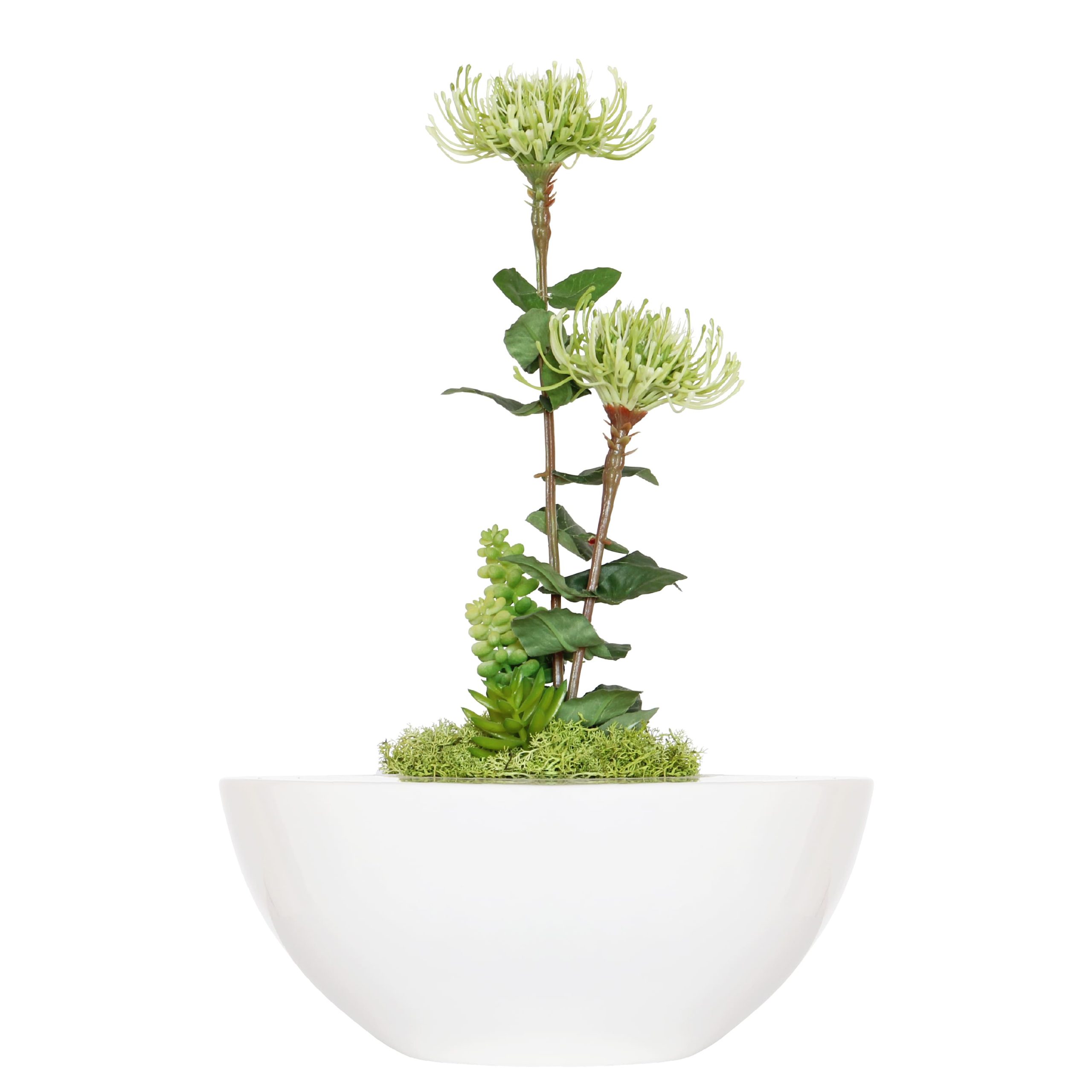 Z40- TAÇA BADIA 10X30X30CM-13.45€ 8X23X23CM-7.45€