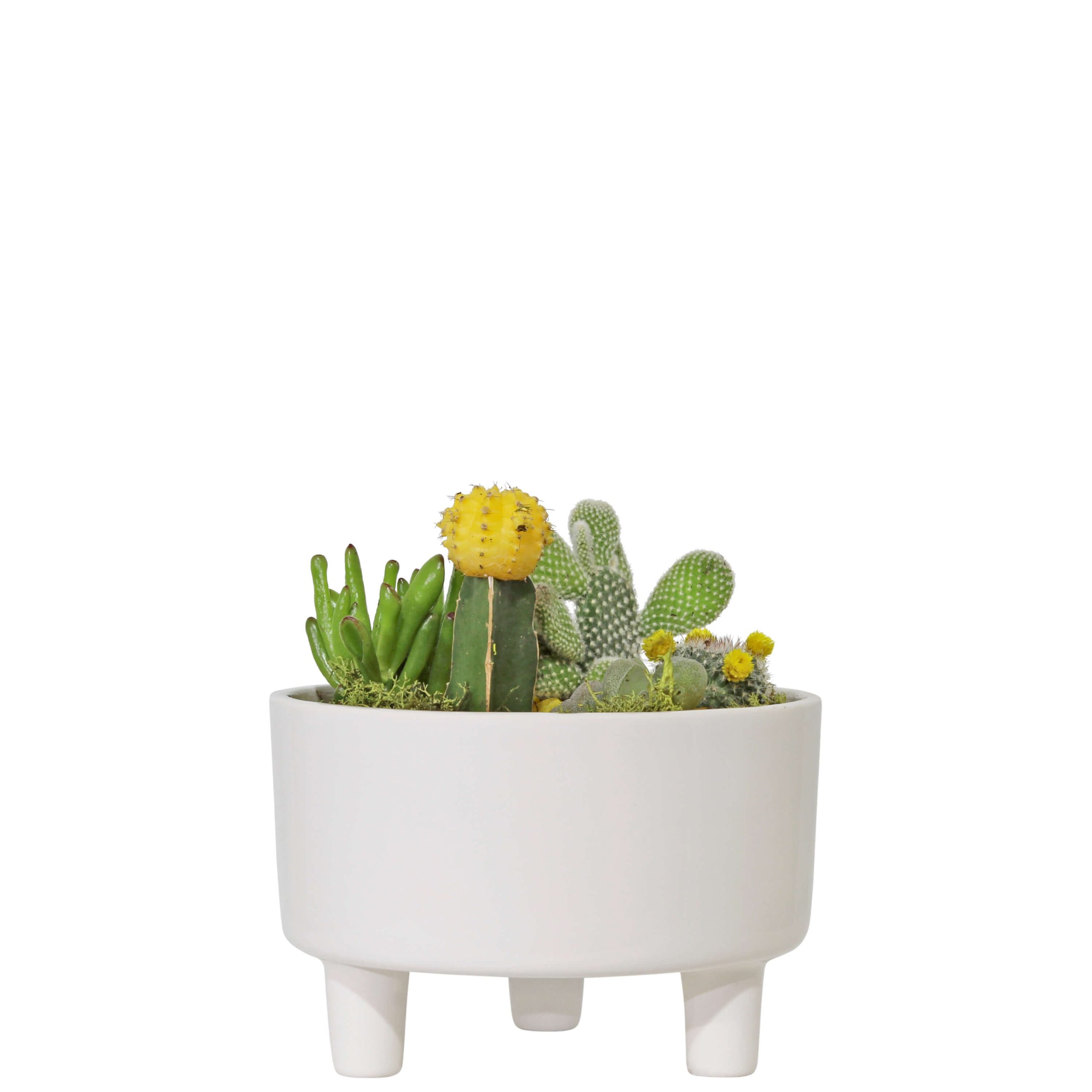 I95- VASO 3 PÉS 19X16X16CM-6.95 14X20X20CM-6.95-1