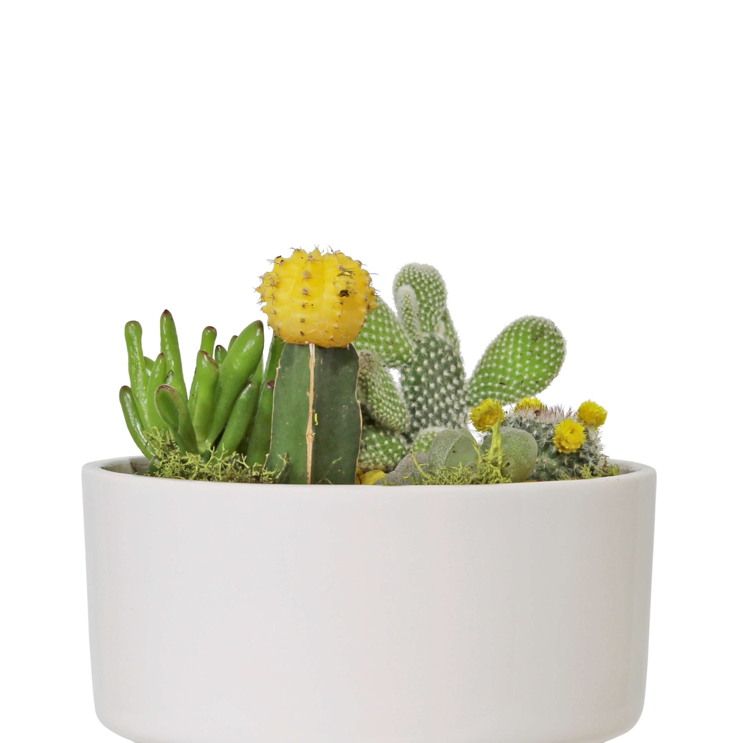 I95- VASO 3 PÉS 19X16X16CM-6.95 14X20X20CM-6.95-2