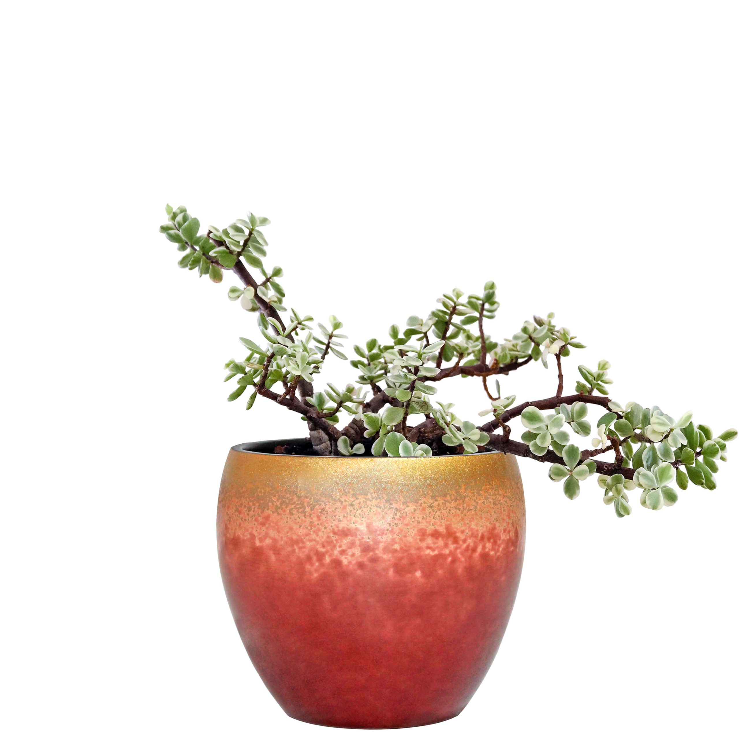 C88E – VASO RUSSET REDONDO
