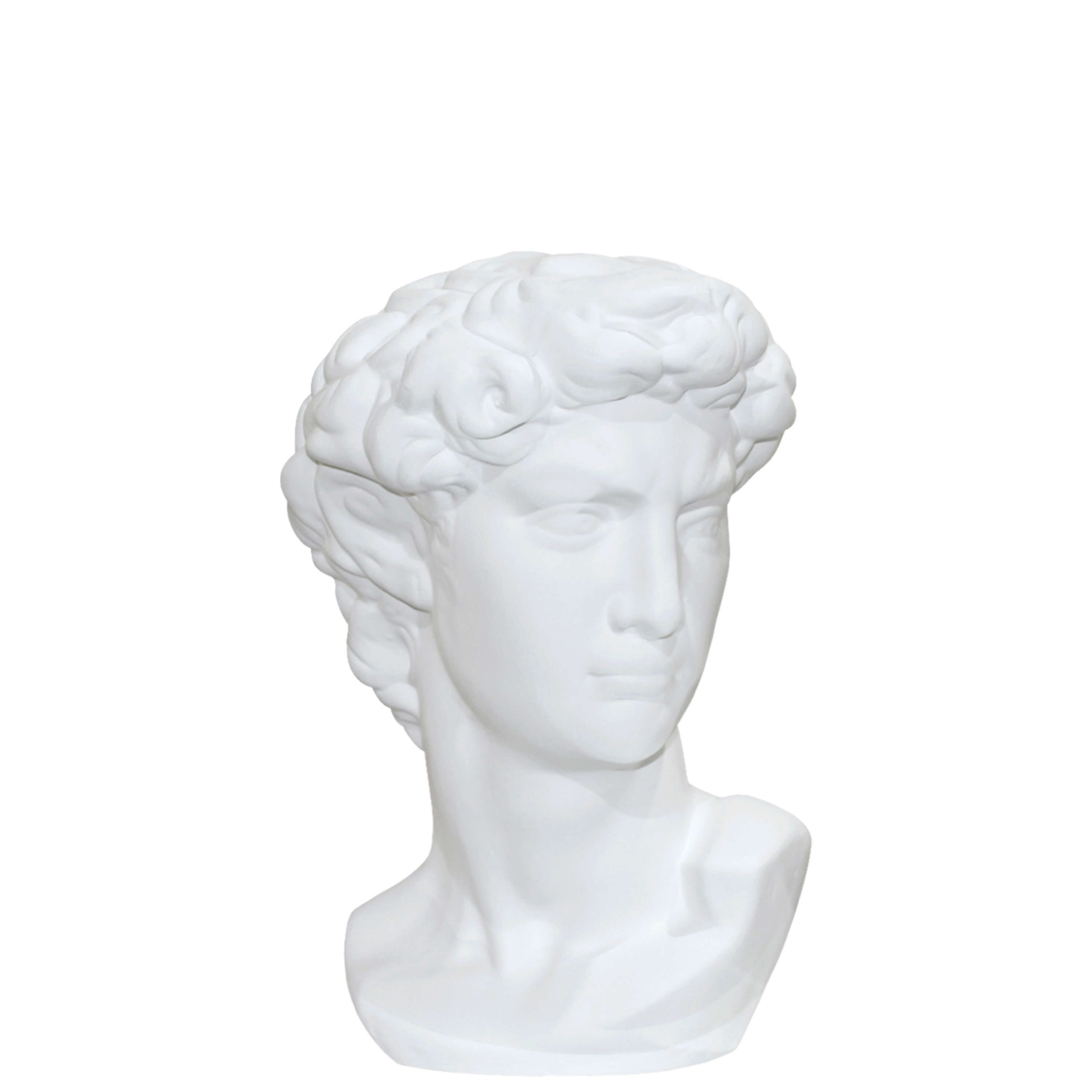 W233 – BUSTO HOMEM BRANCO