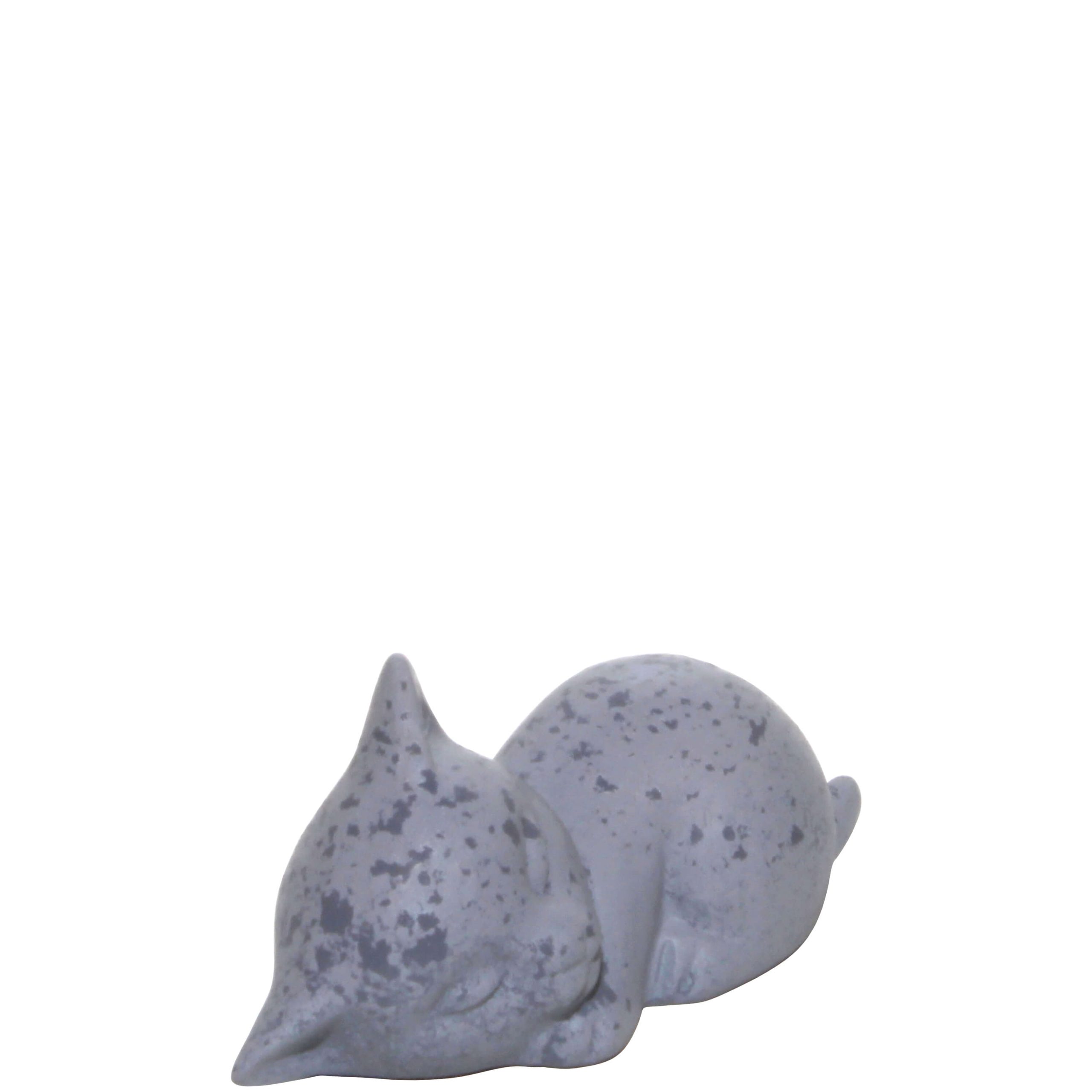 W250B – GATO BÉBÉ CINZA-3